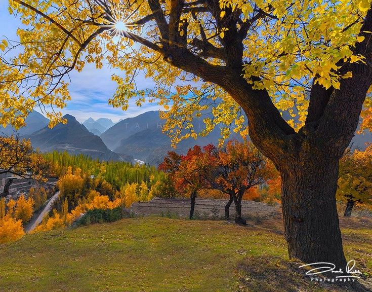 Deosai Plains in Autumn